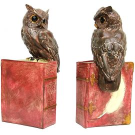 Baykuş ve Kitap Tasarımlı Dekoratif Stoper