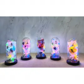 Romantik Işıklı Müzikli Fanus İçinde Sonsuz Gül Buketi - Sevdiklerinize Özel Dekoratif Hediye