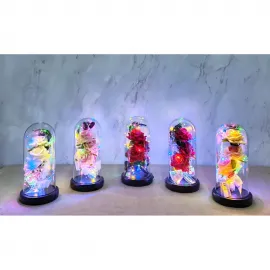 Büyüleyici Işıklı Müzikli Gül Cam Fanus: Romantik Ev Dekoru ve Özel Hediye